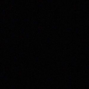 Meet your Posher, Carley